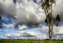 利记体育:火箭对阵湖人前瞻 西部上半区的两支强队较量 有什么看点值得关注.